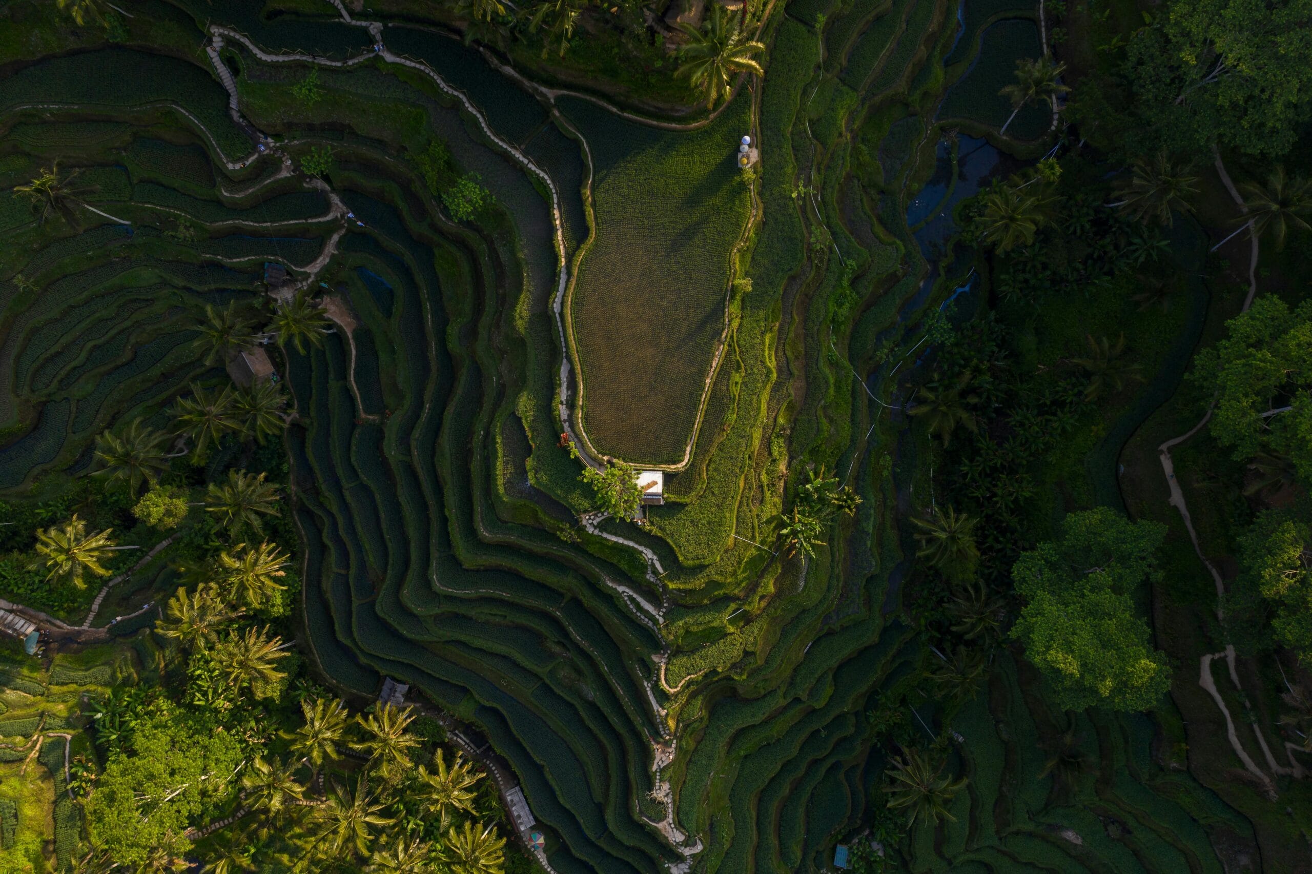 Oahu Tours